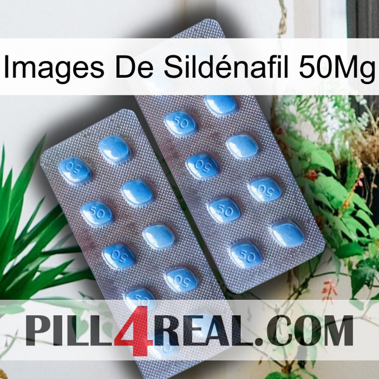 Images De Sildénafil 50Mg viagra4
